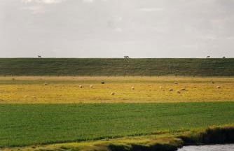 FEWO auf dem Lande / nahe SPO - Foto 97