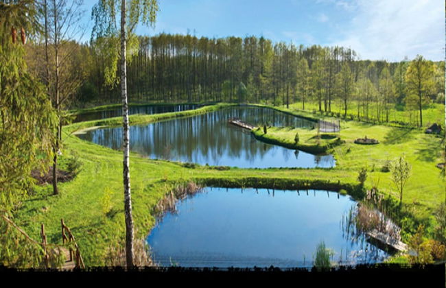 Countryside Escape With Sauna - Foto 16