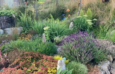 Ardagh Cottage Secluded in Glenshesk near Ballycastle - Foto 35