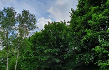 Bieszczadzki Zakątek - Foto 14