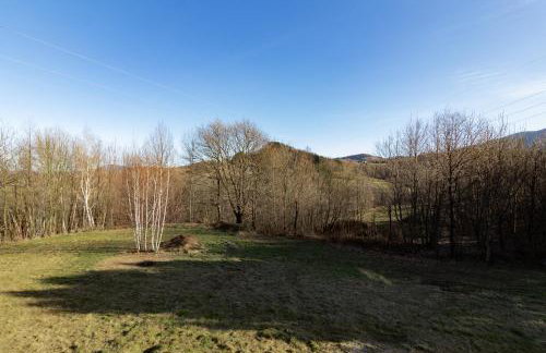 zDrzewaDom - Photo 28