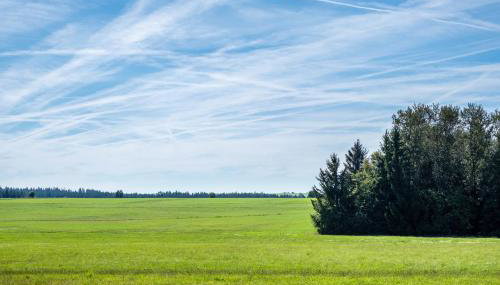 Haus Rosengarten - Foto 3