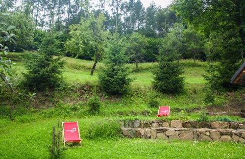 Pod Klonem - Photo 11