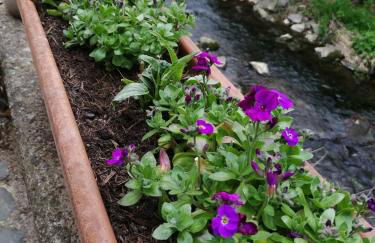 Urlaub mit Charme in der kleinsten Stadt der Pfalz. - Foto 48