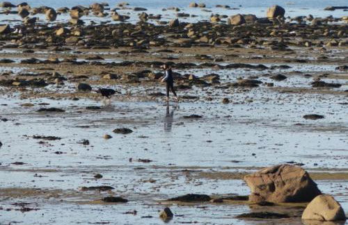 Ty Bugale Bihan - Foto 14