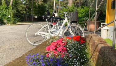 Dune Prestige & Chalets - Foto 2