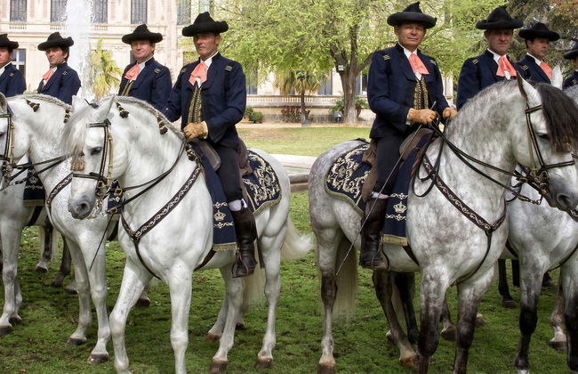 Spectacle équestre à Xérès de la Frontera - Photo 8