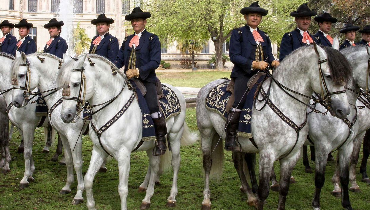 Jerez de la Frontera Horse Show