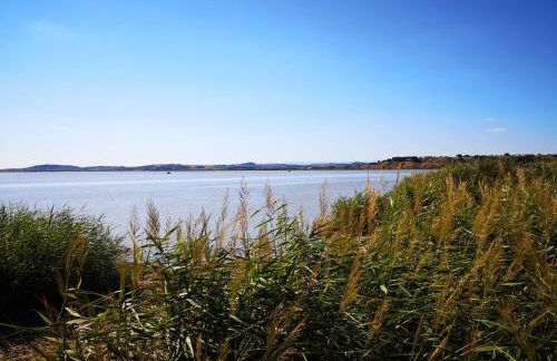 maison du portail vieil - Foto 40