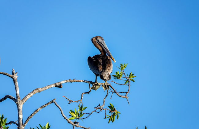 Maze Lodge - Photo 44