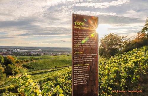 Neu - Wenkheimer Hof Scheunen-Loft - Foto 37