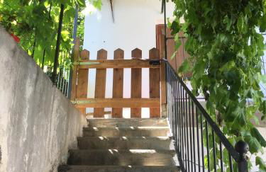 La casa di Pluto - Foto 15