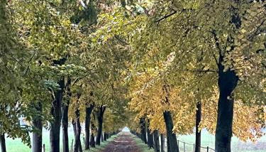 Landgut Ziegler - Foto 3, Garden view