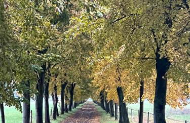 Landgut Ziegler - Foto 3