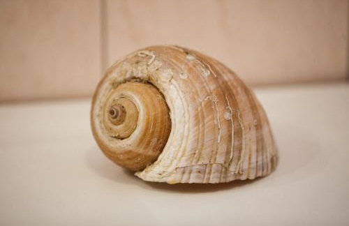 Apartments Dubra - Photo 35