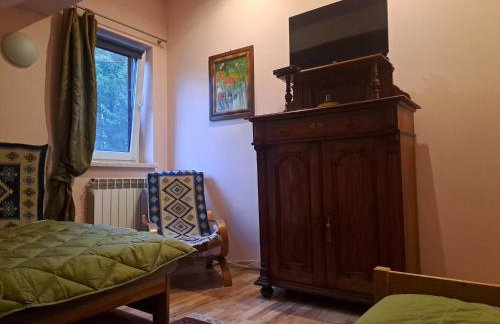 Ropuszy Dwór - Foto 6