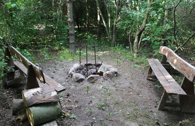 Fitting Landsbyferie Apartments - Foto 34