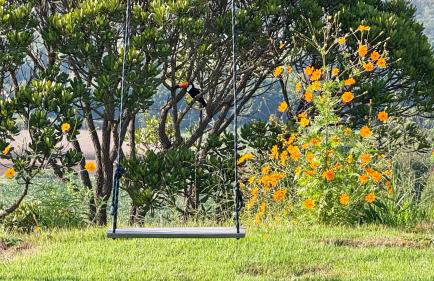 Balanço nas Alturas Vista da Serra e Piscina Privativa - Foto 11