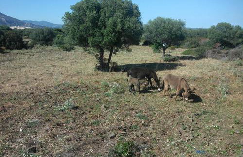 Vistamare - Photo 78