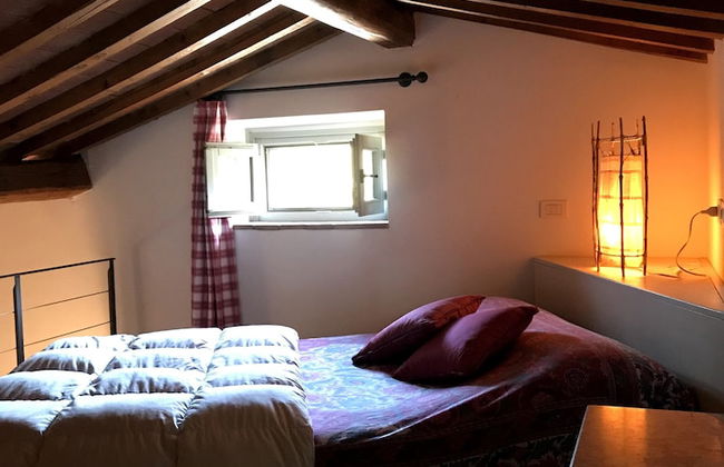 Il Pezzatino - Photo 12