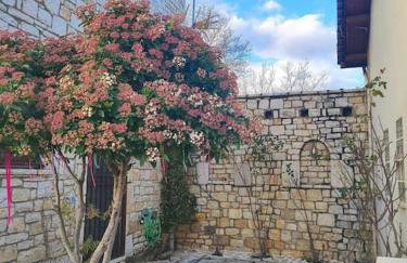 Erymanthos country home - Foto 41