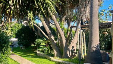 Terra Di Mare - Foto 3, Garden