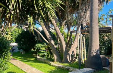 Terra Di Mare - Foto 3