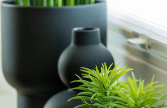 Die Nummer eins - Ferienwohnungen Hufnagel - Foto 14