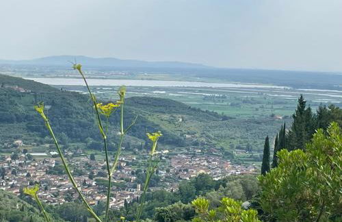 Baita Chalet del Colle - Foto 69