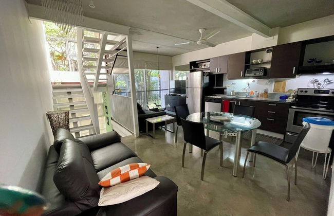 Beautiful Spacious Loft 2 Bedrooms 2 Full Baths 2 car Garage in Downtown - Foto 53