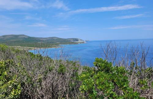 Studio LA MOUTONNE tt équipé 20 m2 10mn plages- hyeres - TRES CALME- - Foto 9