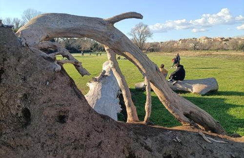 Casa mia Metro A 100mt - Foto 62