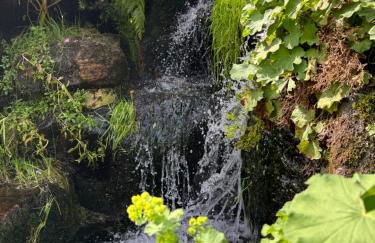 Panorama-Suite mit Kamin & Balkon, Ruhe, Weitblick & Natur im Schwarzwald - Foto 12