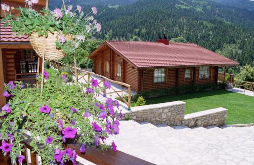 Xenios Chalet - Foto 22