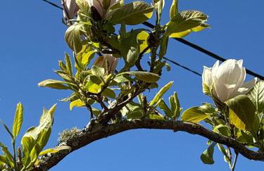 Casa Camiño do Eume - Foto 3