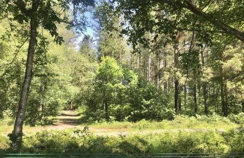 Forest View at Oakdene Forest Park - Leisure Passes Included! - Foto 7