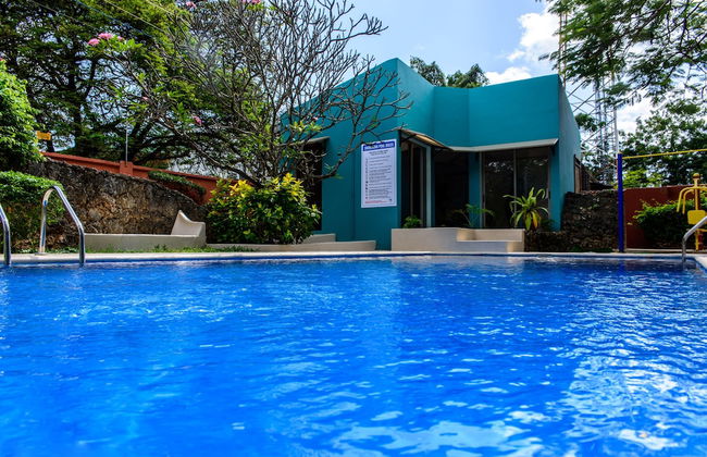 Fig Tree Residences - Foto 16