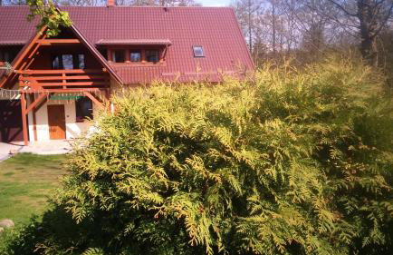 Skowerówka - Foto 18