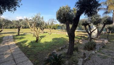 La Perla di Dea - Foto 5