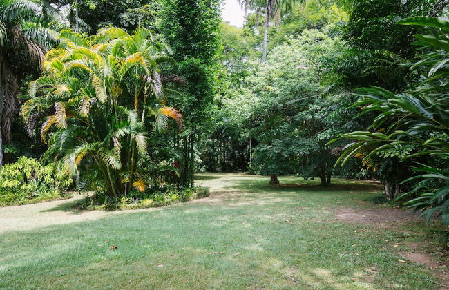 Sanctuary in The Pocket - Foto 64