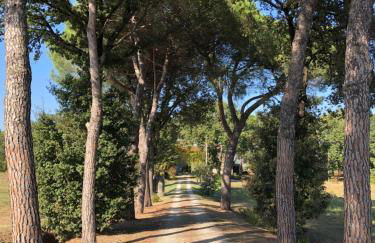 Antico Casale Silvia - Foto 28