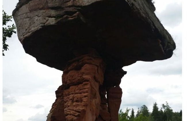 Palatinate Forest Comfortable Holiday Residence - Photo 12