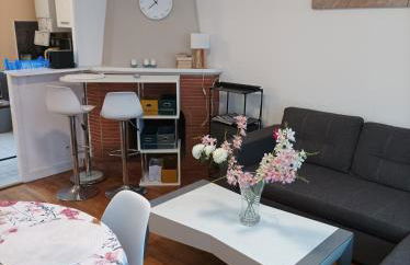 Ici, on y revient par plaisir - Foto 10