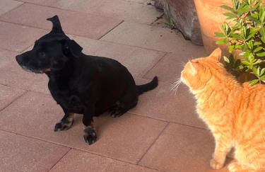 Grahl´s Ferienwohnung - Foto 35