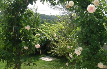 Le Grand Barsan - Photo 19