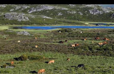 Casa Rustica CESAR - Foto 49