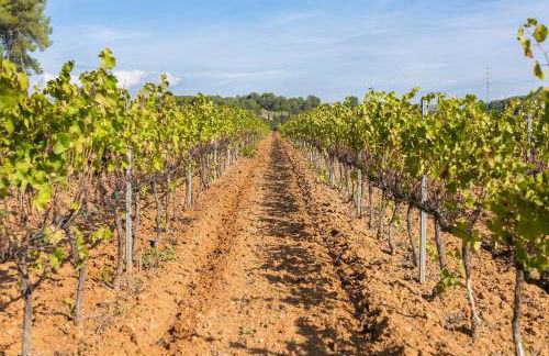 Masia Can Canyes & Spa - Photo 64