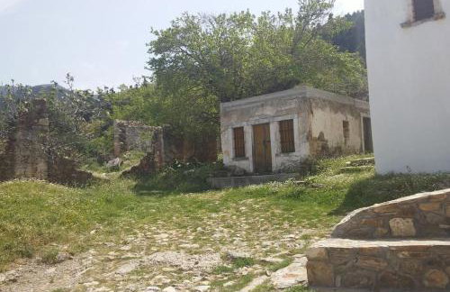 Renovated old traditional House - Photo 26