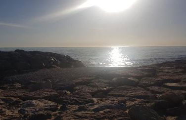 EL RINCÓN VERDE - Foto 25