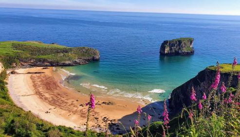 La Pitufina Blue - Foto 5